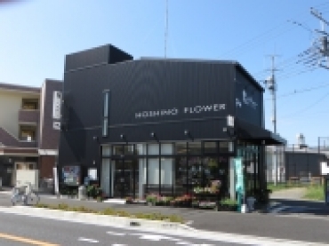 「星のフラワー」　（神奈川県茅ヶ崎市）の花屋店舗写真3